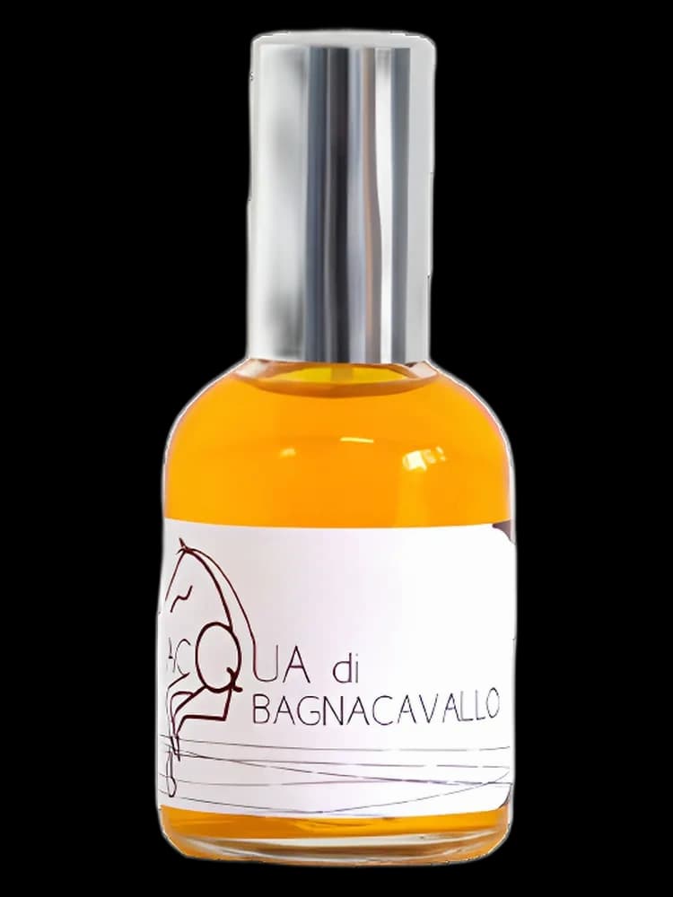 Acqua di Bagnacavallo unisex