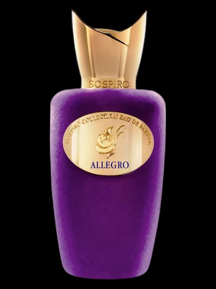 Allegro unisex
