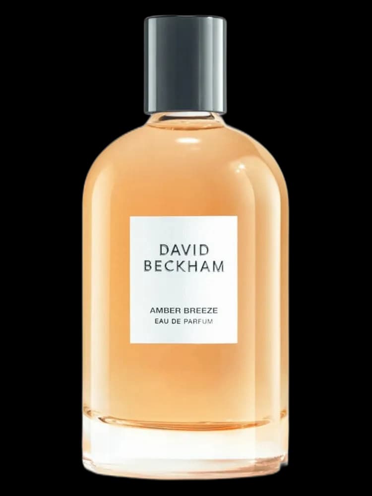 Amber Breeze for men