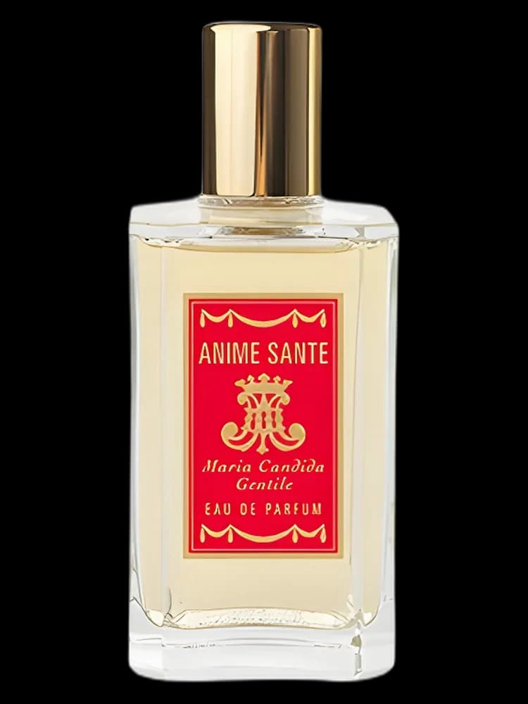 Anime Sante unisex