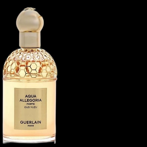 Aqua Allegoria Oud Yuzu Forte