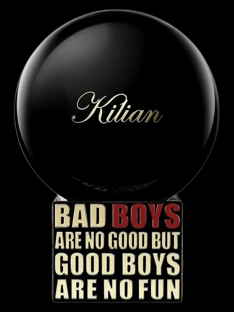 Bad Boys Are No Good But Good Boys Are No Fun unisex