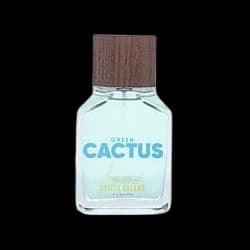 Benetton United Dreams Green Cactus
