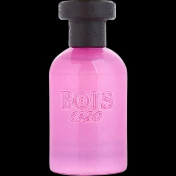 Bois 1920 Rosa Di Filare