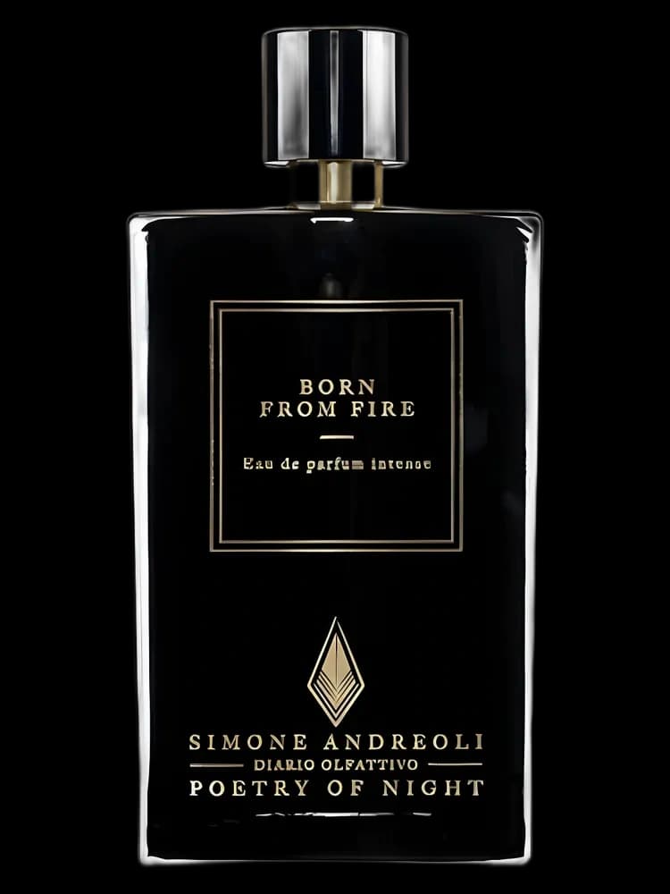 Born From Fire unisex