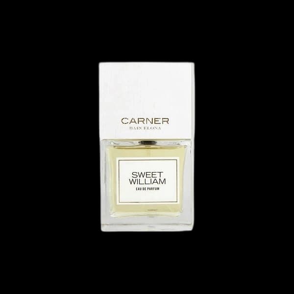 Carner Barcelona Sweet William