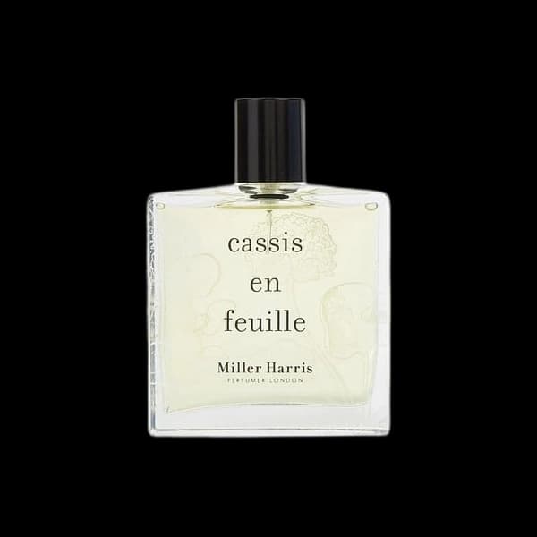 Cassis En Feuille