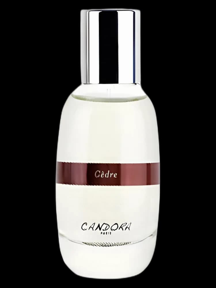 Cedre unisex