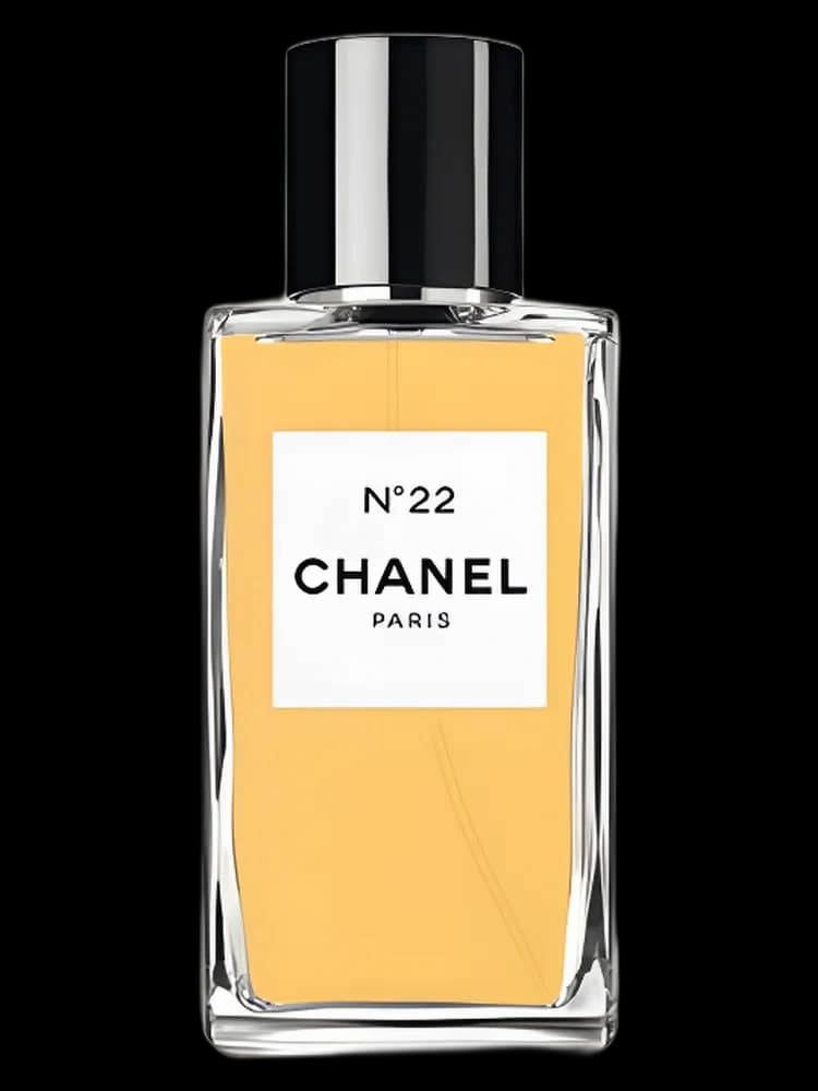 Chanel N22 for women