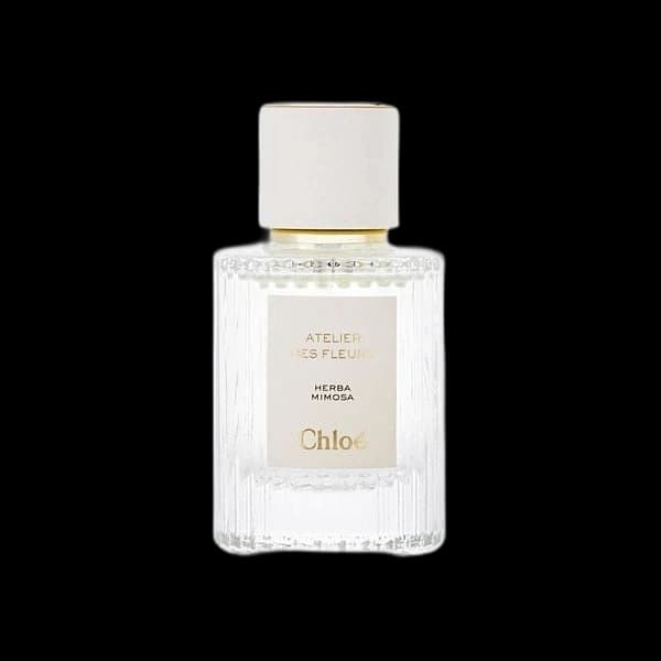 Chloe Atelier Des Fleurs Herba Mimosa