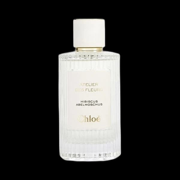 Chloe Atelier Des Fleurs Hibiscus Abelmoschus
