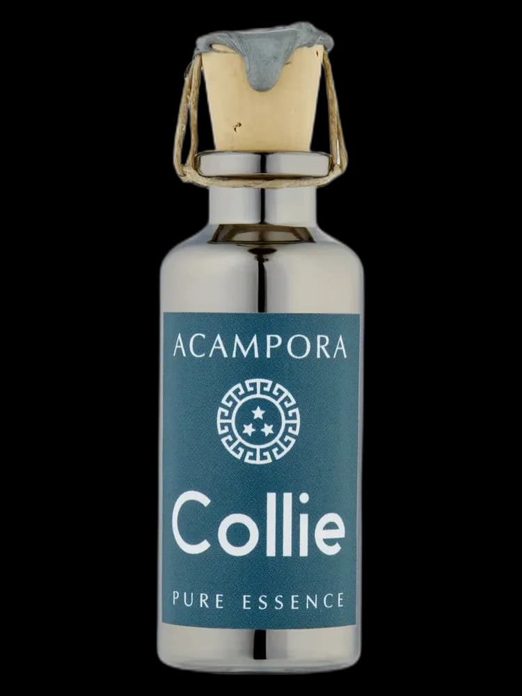 Collie Pure Essence unisex