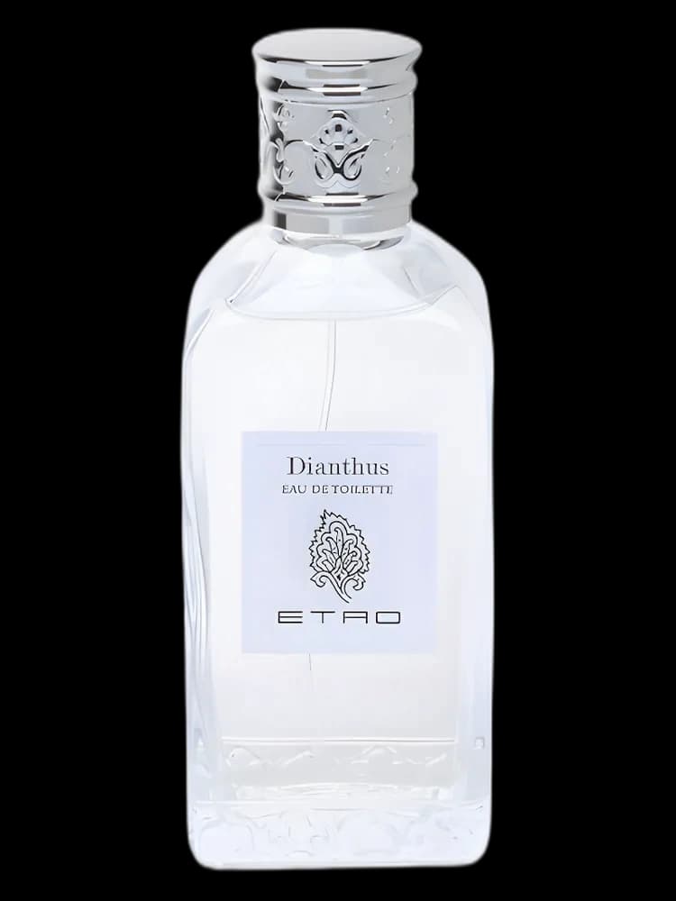 Dianthus for women