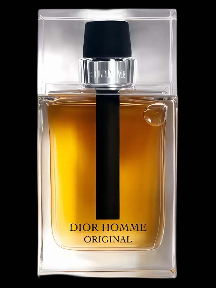 Dior Homme Original for men