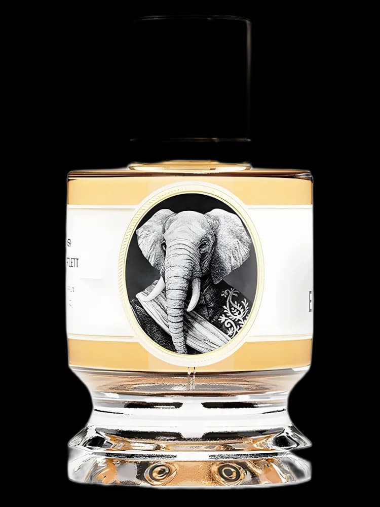 Elephant unisex