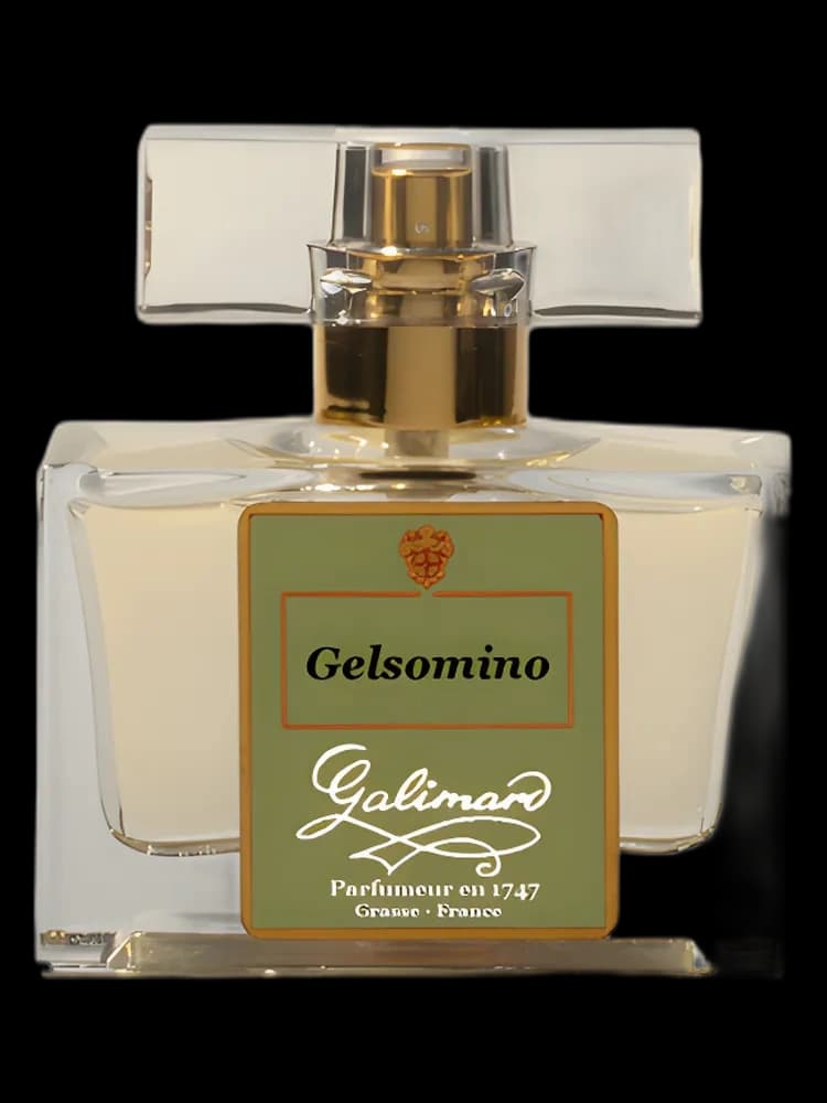 Gelsomino for women