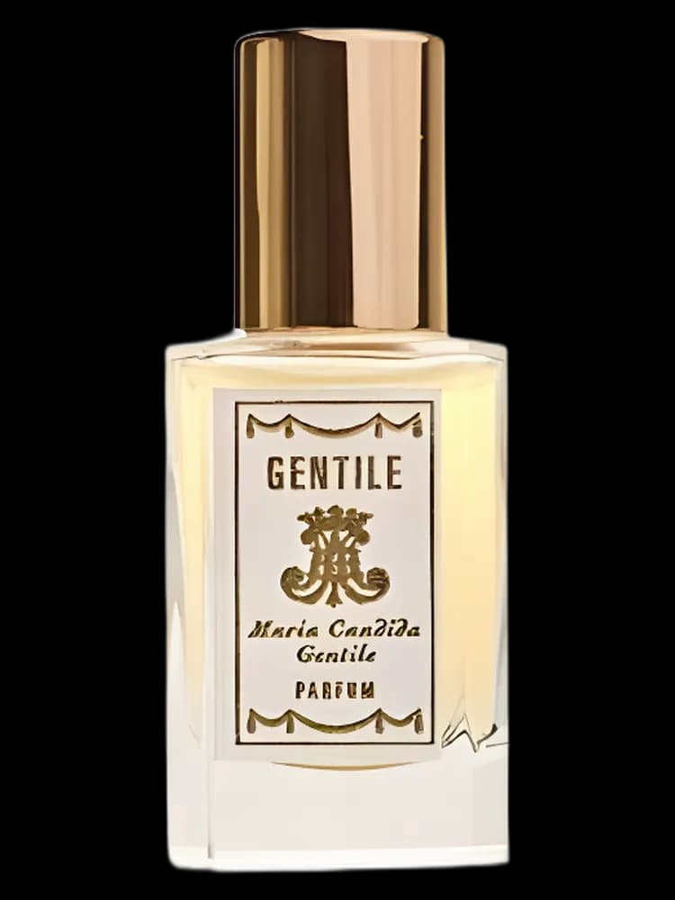 Gentile for men