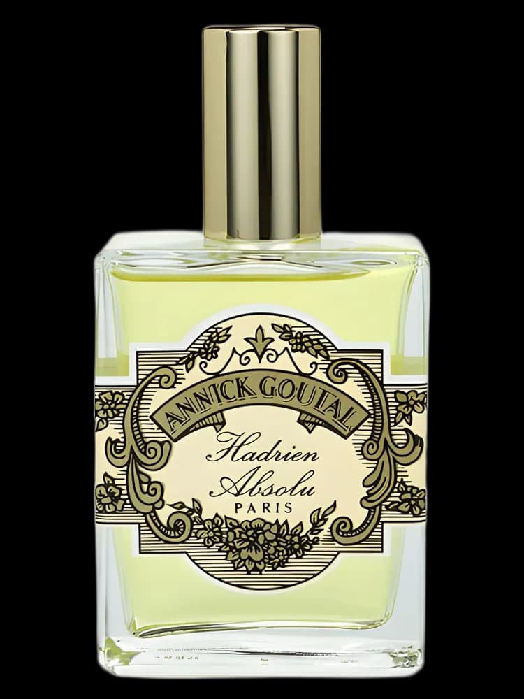 Hadrien Absolu for men