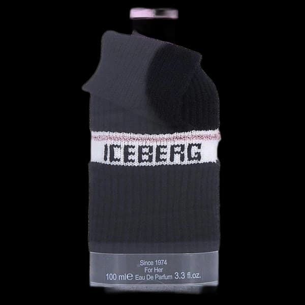 Iceberg Since 1974