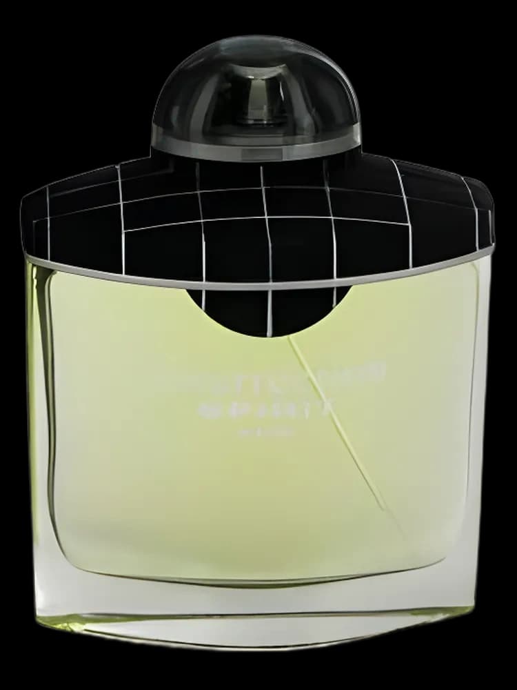 Insurrection Spirit for men