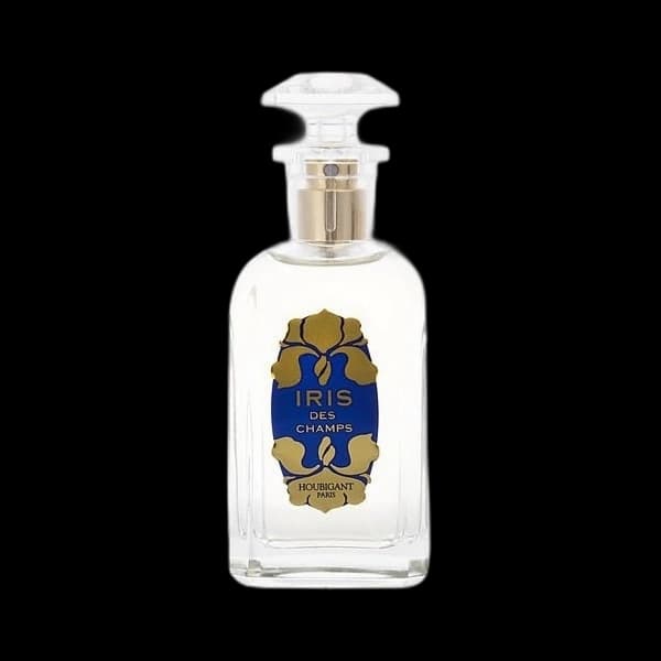 Iris Des Champs