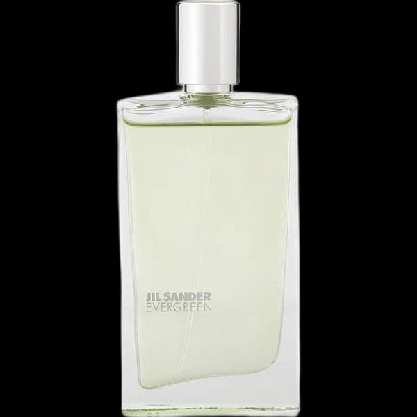 Jil Sander Evergreen
