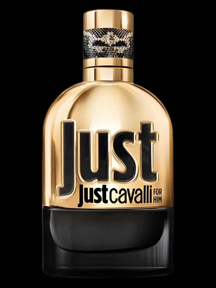 Just Cavalli Gold for Him for men