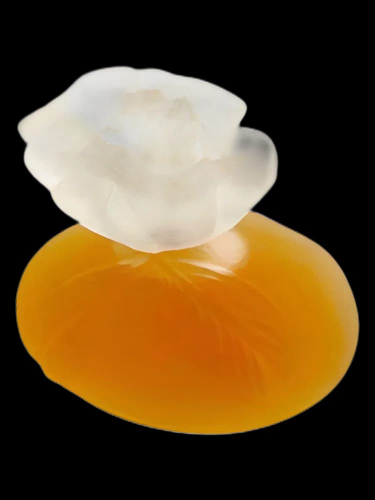 Kenzo Kenzo for women