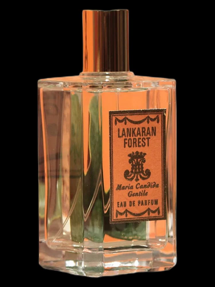 Lankaran Forest unisex