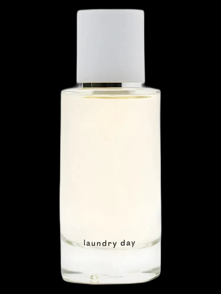 Laundry Day unisex