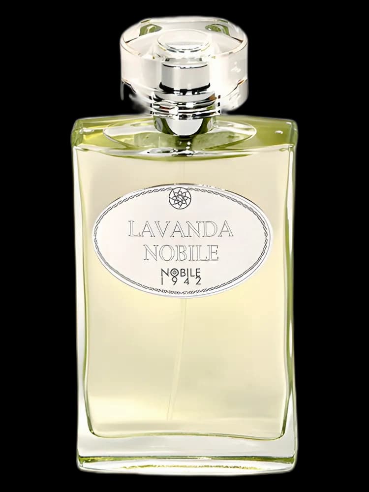 Lavanda Nobile unisex