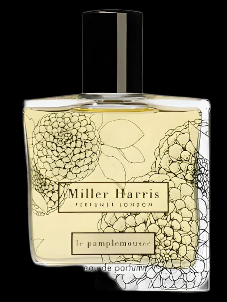 Le Pamplemousse unisex