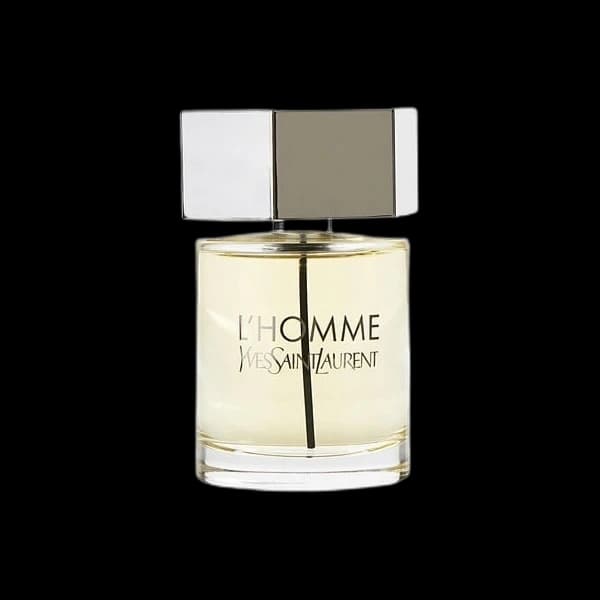 L'Homme Yves Saint Laurent