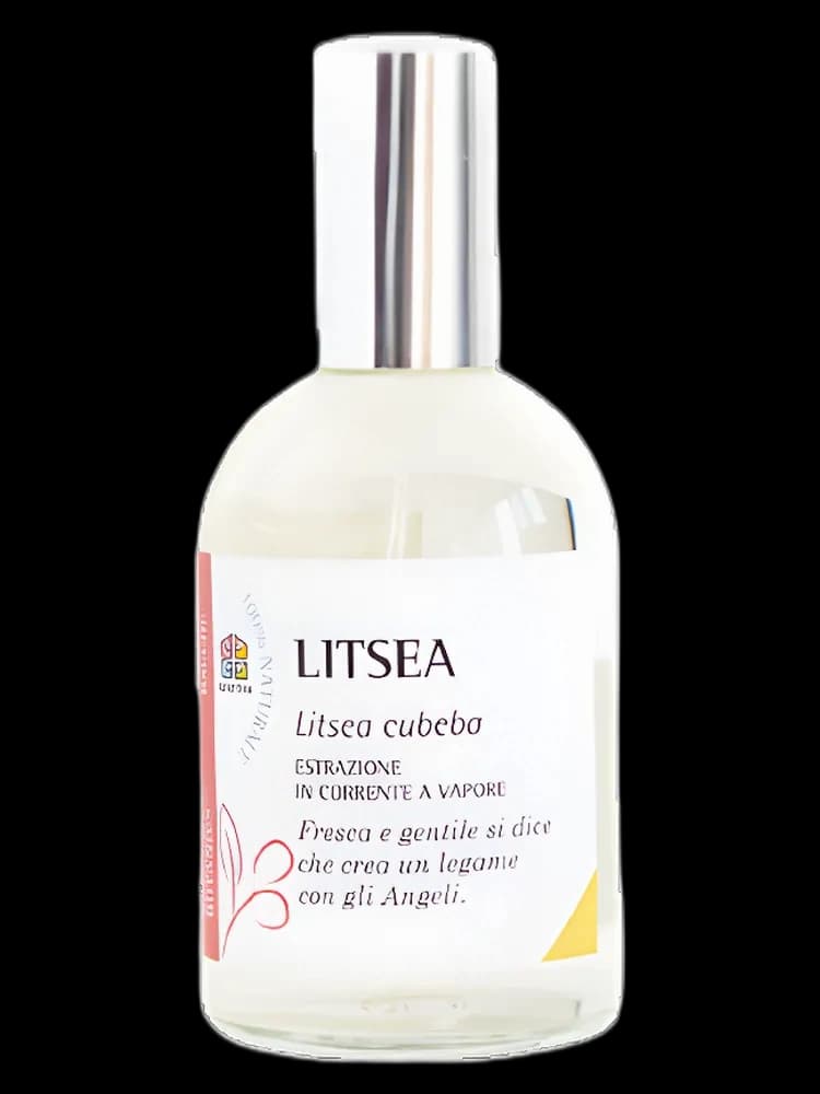 Litsea unisex