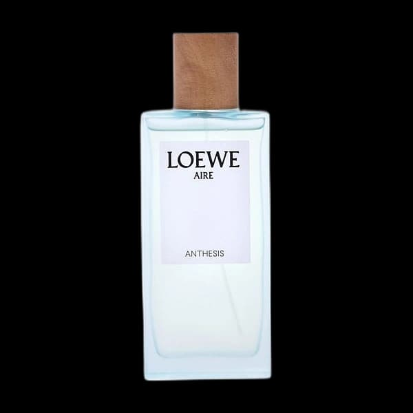Loewe Aire Anthesis