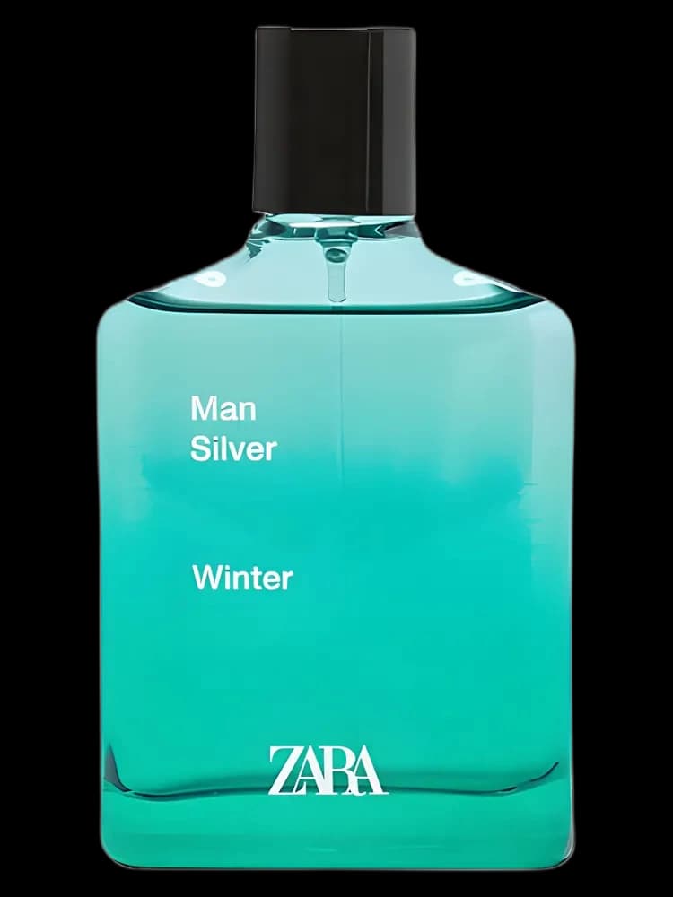 Man Silver Winter for men