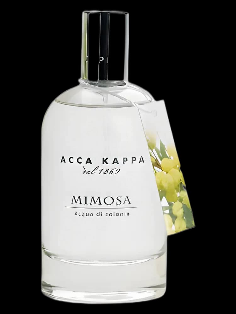 Mimosa for women