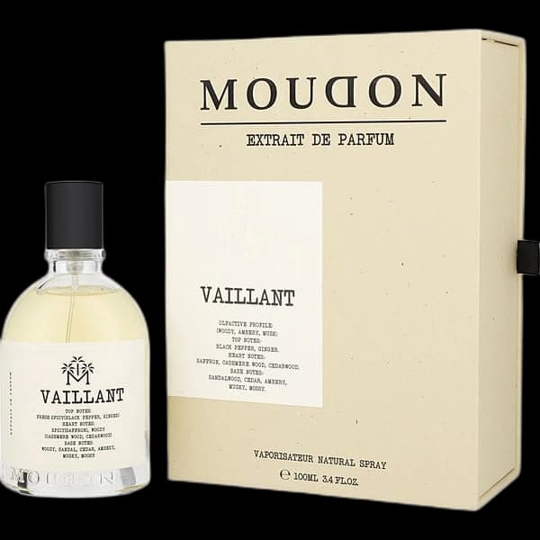 Moudon Vaillant