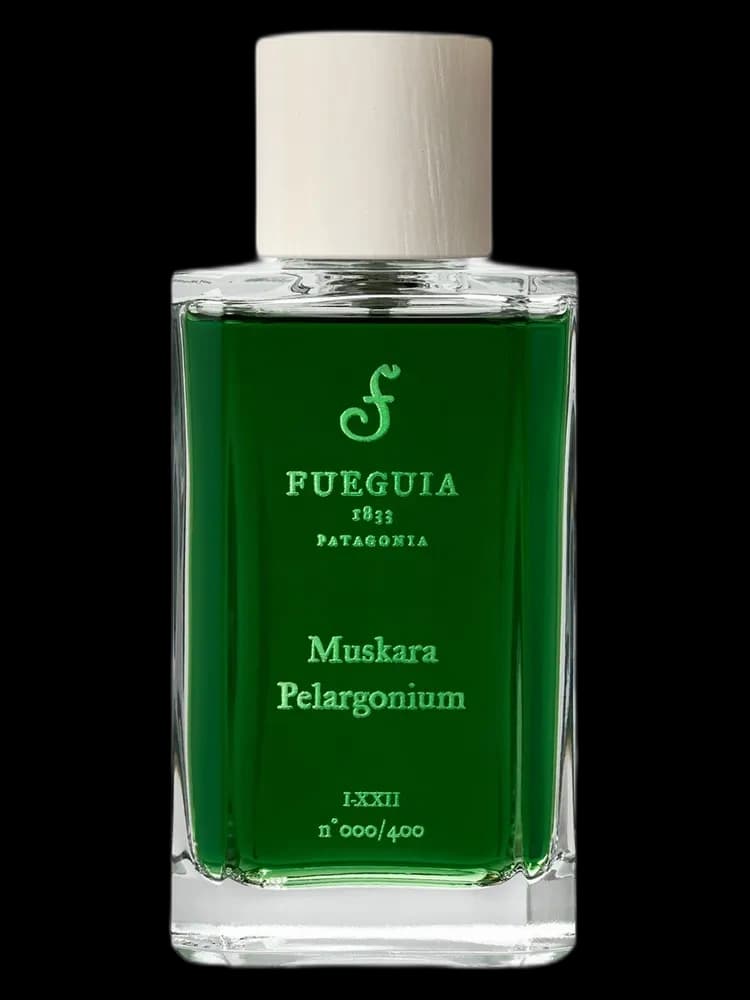 Muskara Pelargonium unisex