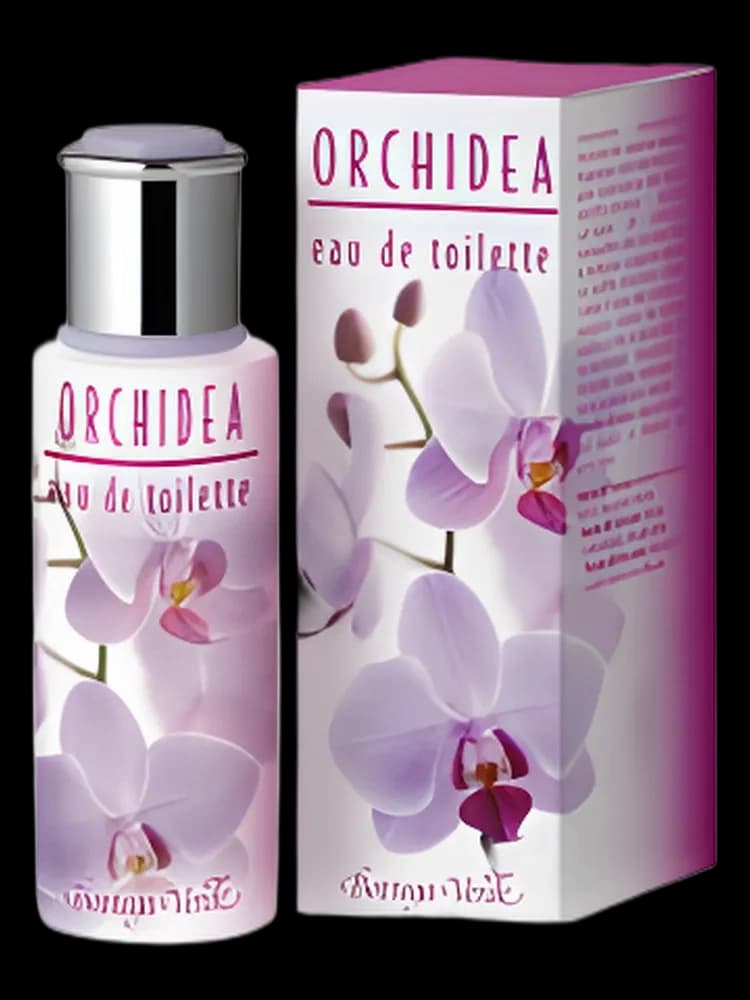 Orchidea for women