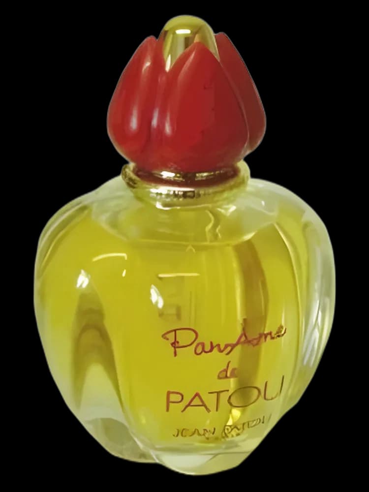 PanAme for women