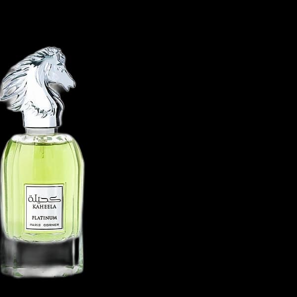 Paris Corner Kaheela Platinum