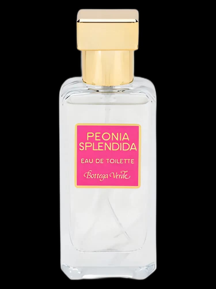 Peonia Splendida for women