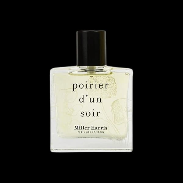 Poirier d'Un Soir
