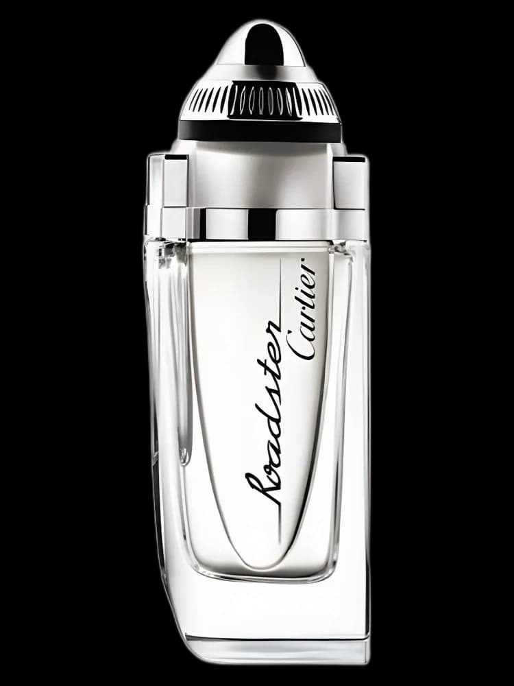 Roadster for men