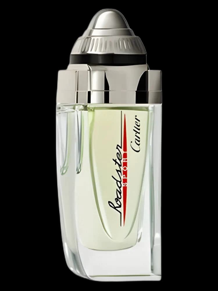 Roadster Sport for men