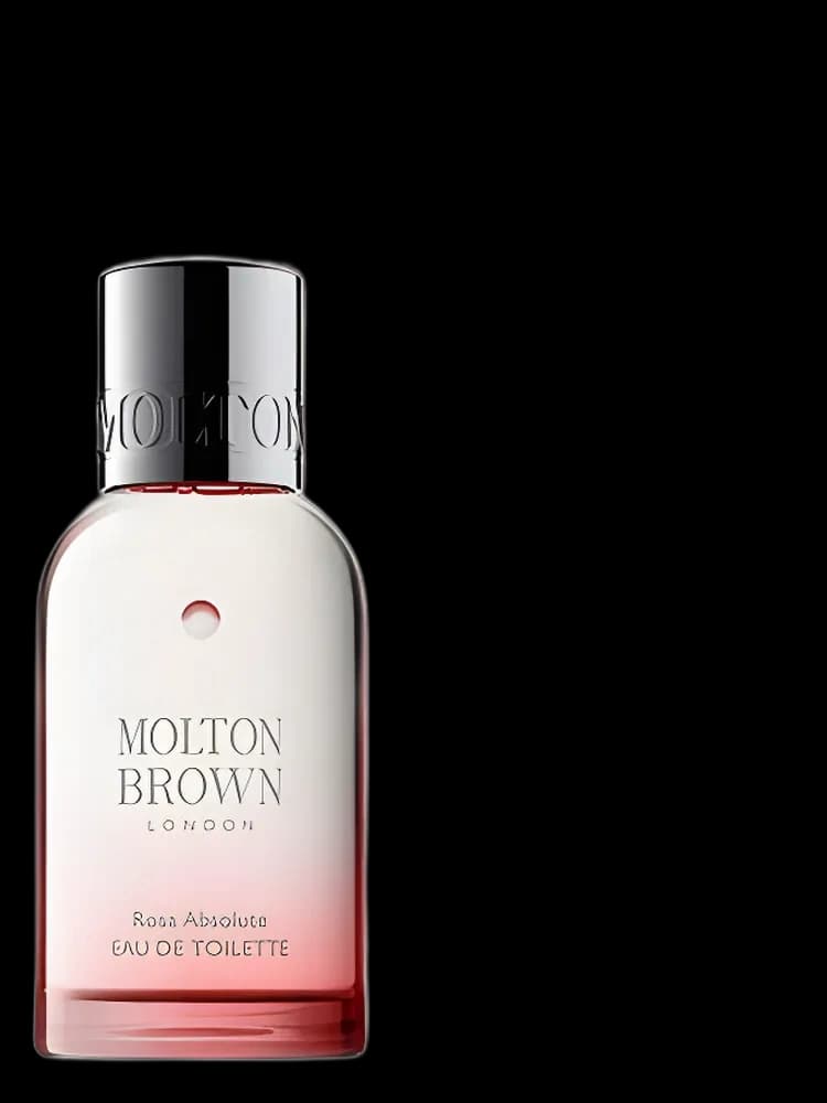Rosa Absolute for women