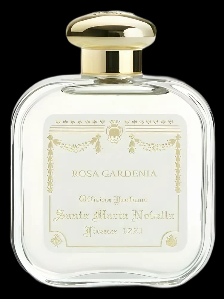 Rosa Gardenia unisex