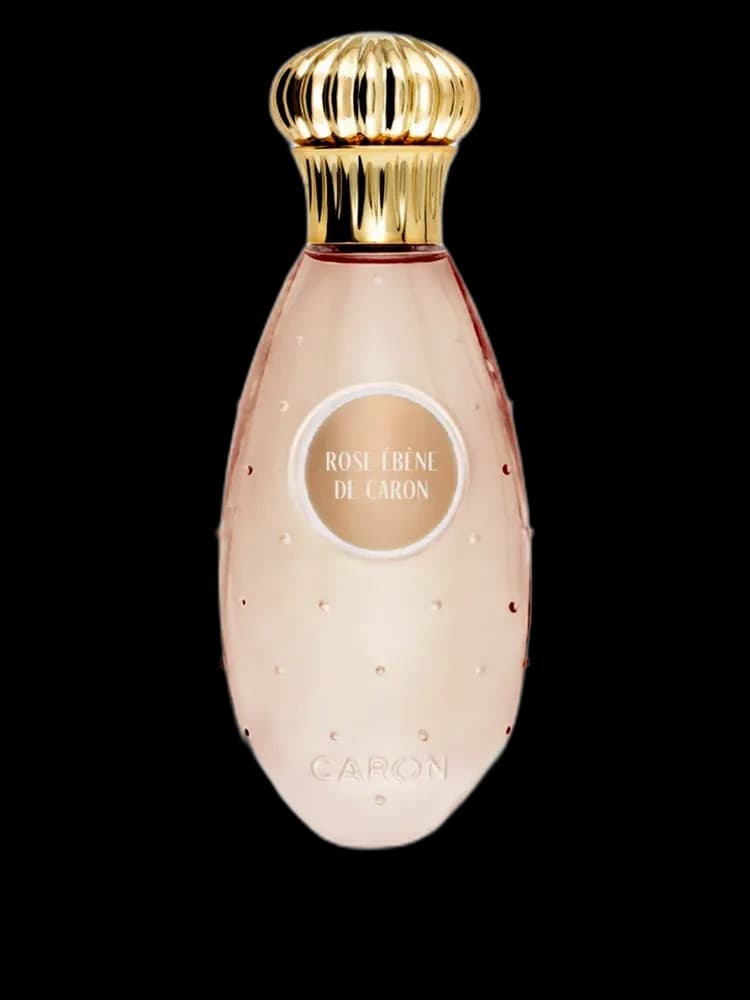 Rose Ebene unisex