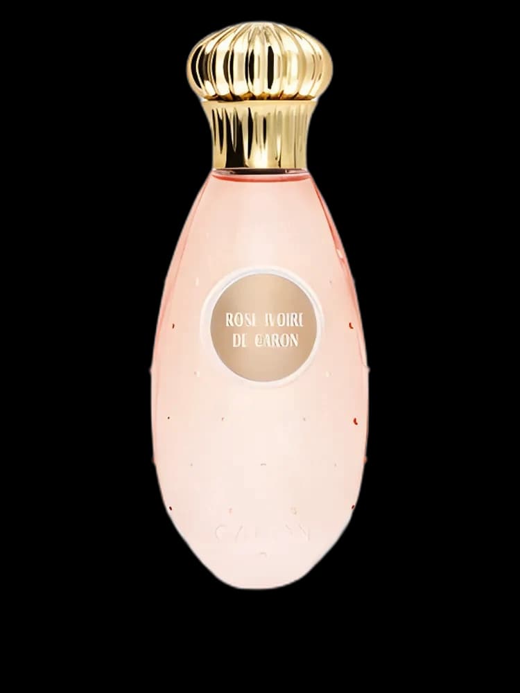 Rose Ivoire unisex